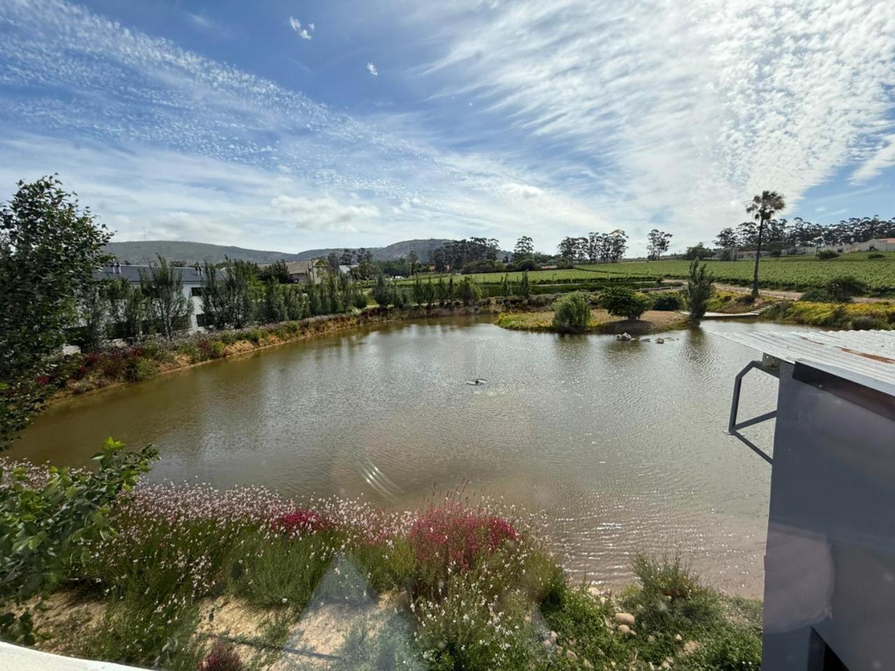 Middelplaas Paarl Guesthouse 外观 照片