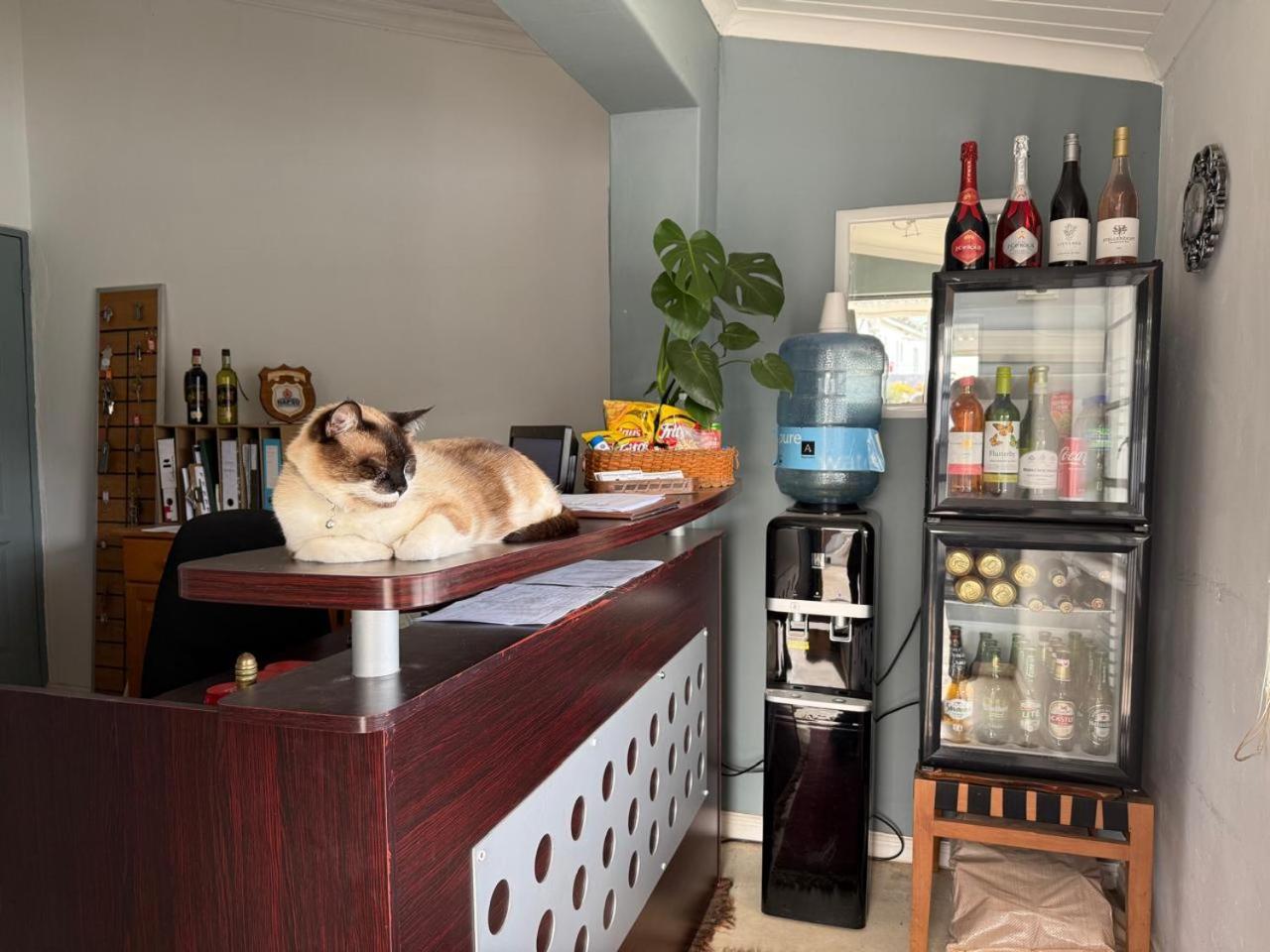 Middelplaas Paarl Guesthouse 外观 照片